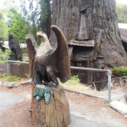 Chainsaw carvings and tree house