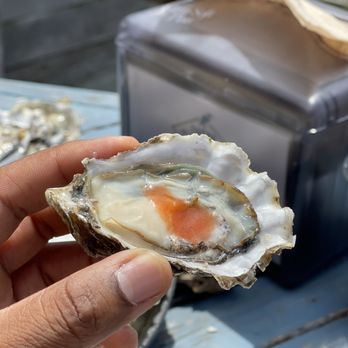 Taylor Shellfish Oyster Bar - A little dab - Seafood Near Me - Seattle, Washington