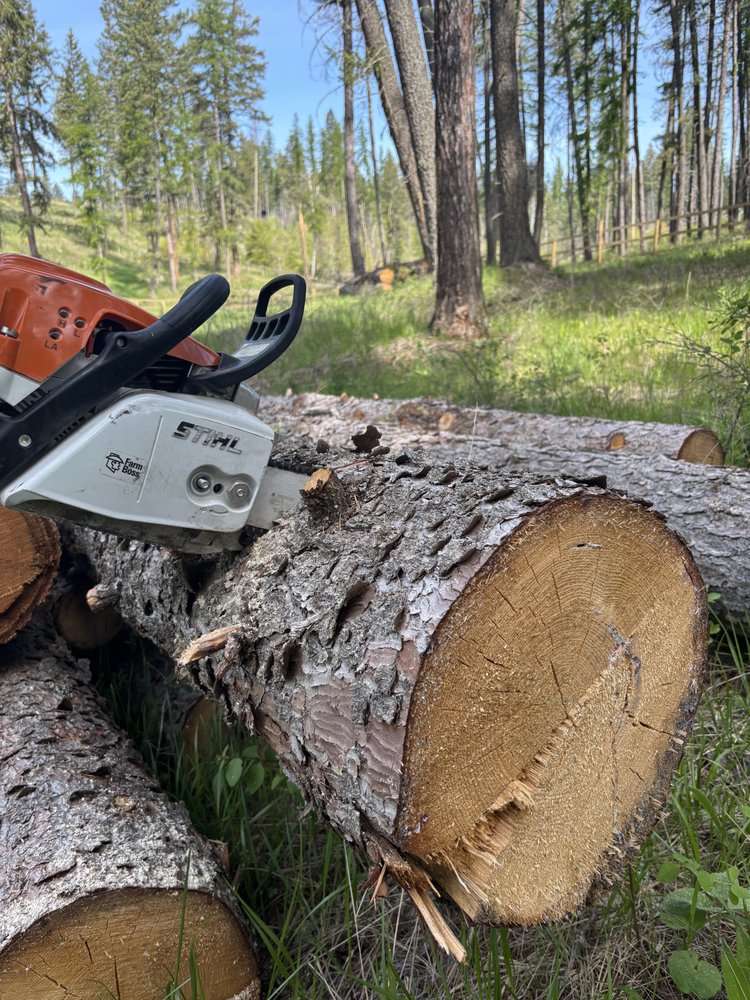 Flathead Forest Fellers - tree service in Bigfork, MT