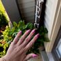 Photo of Nails By Havana