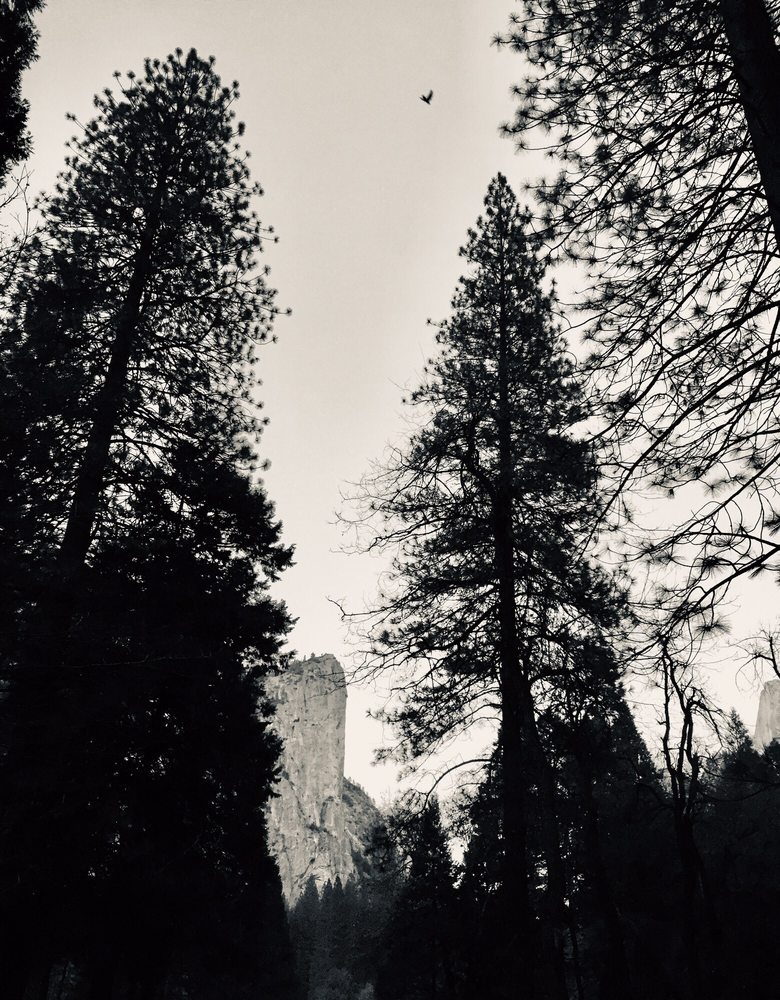 CURRY VILLAGE ICE SKATING RINK Updated August 2024 18 Photos