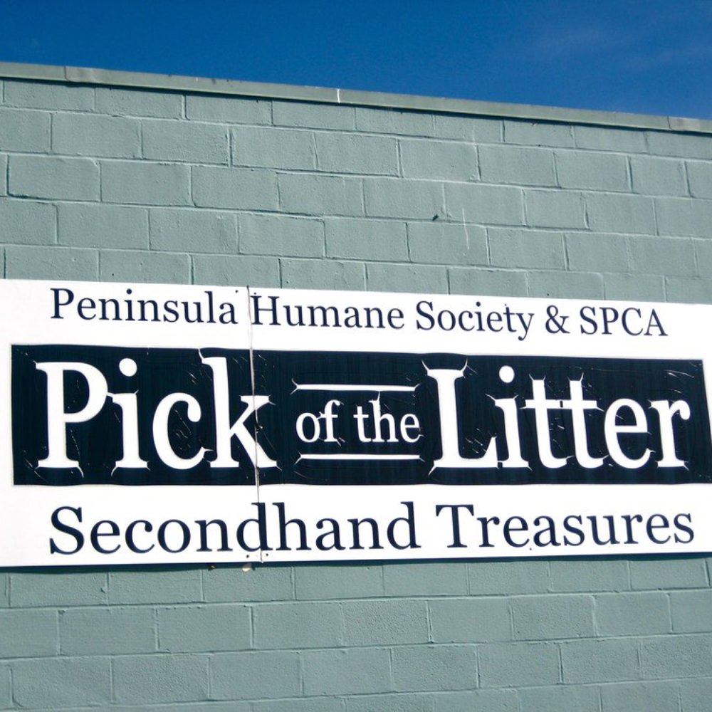 Treasure Paws - Side of Building - Thrift Stores Near Me - Burlingame, California Treasure Paws - Side of Building - Thrift Stores Near Me - Burlingame, California