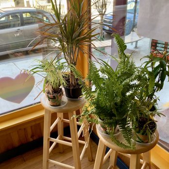 TigerHawk Sandwich - two wooden stools with plants on them - Sandwiches Near Me - Oak Bluffs, Massachusetts TigerHawk Sandwich - two wooden stools with plants on them - Sandwiches Near Me - Oak Bluffs, Massachusetts