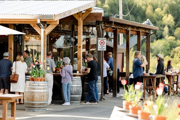 Iron Horse Vineyards by null