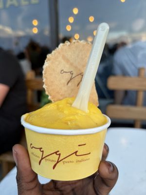 Oggi Gelato Norwalk by null