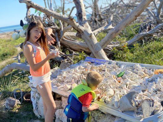 Sandspur Beach by null