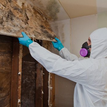 American Plus - Environmental Abatement Near Me American Plus - Environmental Abatement Near Me