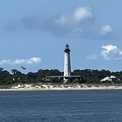 Capt. Derek's Dolphin Adventure On Tybee