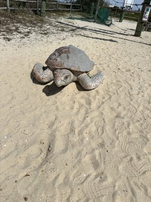 Alabama Aquarium at the Dauphin Island Sea Lab by null