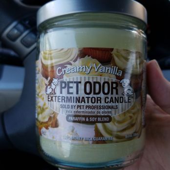 Hollywood Feed - Best candle for eliminating pet odors! - Pet Stores Near Me - Little Elm, Texas Hollywood Feed - Best candle for eliminating pet odors! - Pet Stores Near Me - Little Elm, Texas