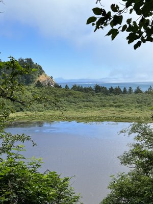 Cape Disappointment State Park by null