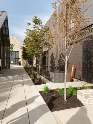 CedarCreek Estate Winery by null