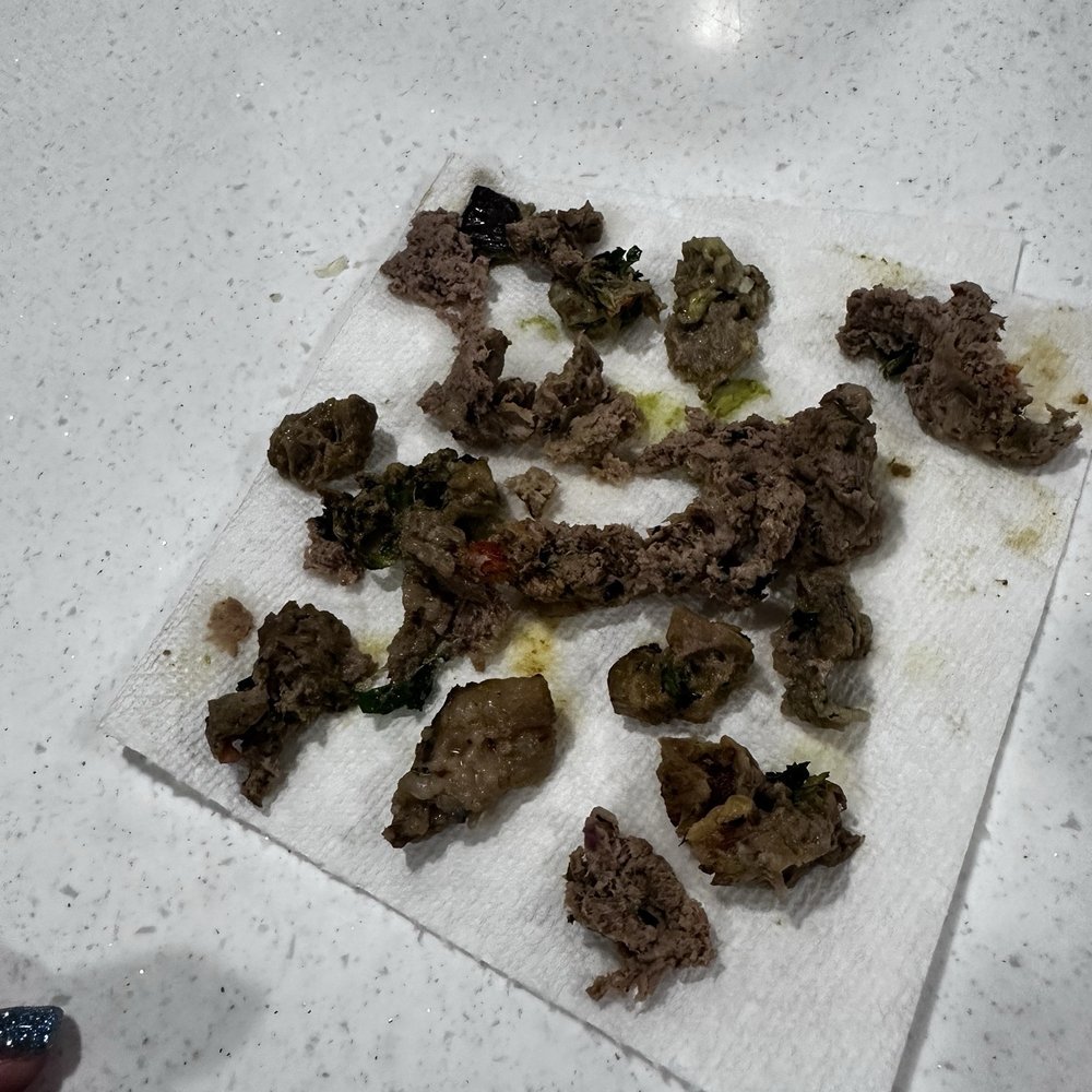 Chipotle Mexican Grill - All the chunks of fat/ gristle that weren't edible - Fast Food Near Me - Ellenton, Florida
