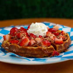 Come Healthy Nutrition - Protein Waffle