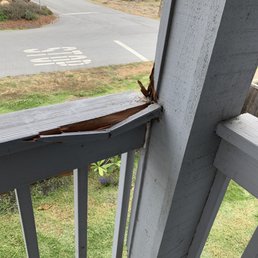 just one example of the damage