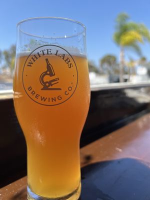 White Labs Brewing Co - San Diego by null
