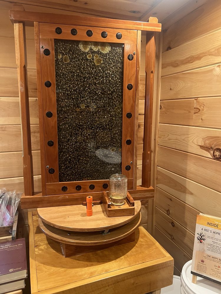 Bedillion Honey Farm Logo