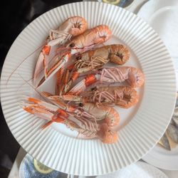 Langoustine