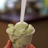 Walrus Ice Cream Company gift card