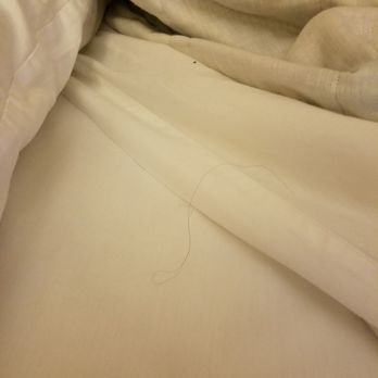 Apache Lake Resort - More nasty hair in the bed. - Resorts Near Me - Roosevelt, Arizona