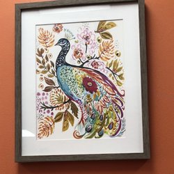 Dosa Hut - Peacock!