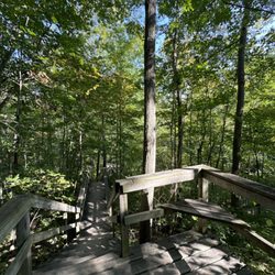 Rock Glen Conservation Area - Stairs down to the falls.