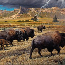 WEIR Gallery - Face the Storm