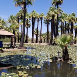 Niland Ranch Wildlife Habitat Foundation
