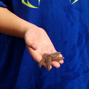 Red Rock Park - Plenty of sea wildlife to touch - Parks Near Me - Lynn, Massachusetts Red Rock Park - Plenty of sea wildlife to touch - Parks Near Me - Lynn, Massachusetts