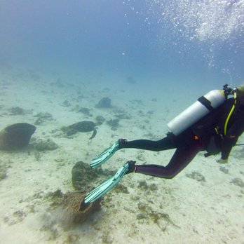Brass Anchor Scuba Center - Turtle love - Diving Near Me - Frederick, Maryland