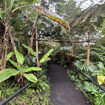 Mountain Thunder Coffee Plantation - Coffee & Tea Near Me - Kailua-Kona, Hawaii