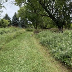 Burton Park