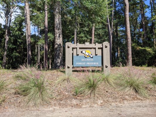 Sea Pines Forest Preserve by null