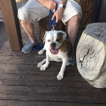 The Chuck Box - Service dogs get great food too. Nina loves this place - Burgers Near Me - Tempe, Arizona The Chuck Box - Service dogs get great food too. Nina loves this place - Burgers Near Me - Tempe, Arizona