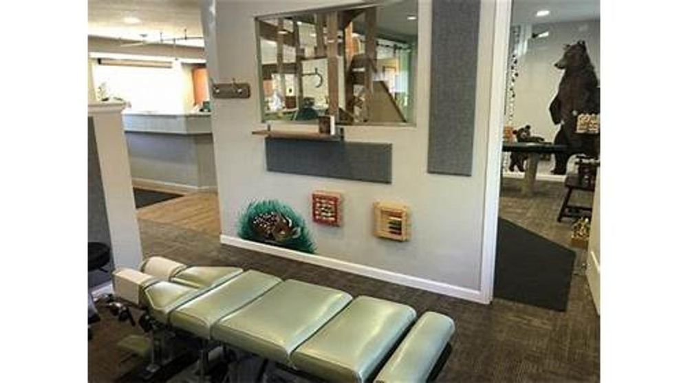 Lighthouse Chiropractic, Fort Collins Roadtrippers