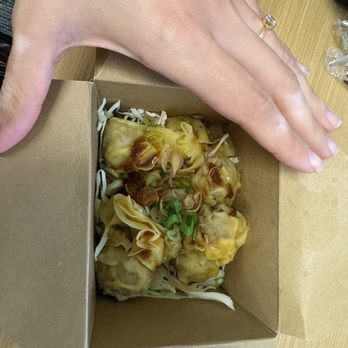 Noodle Lab - Pork wontons, hand for scale - Ramen Near Me - Cambridge, Massachusetts Noodle Lab - Pork wontons, hand for scale - Ramen Near Me - Cambridge, Massachusetts
