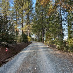 Twin Pines Christmas Tree Farm - Road up to the farm
