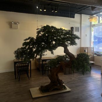 Living Water Tea House - Tea Rooms Near Me - Chicago, Illinois Living Water Tea House - Tea Rooms Near Me - Chicago, Illinois