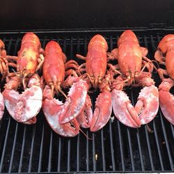Ziparo's - Got Lobster?