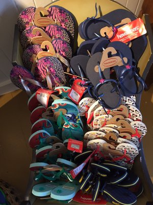 The Local Gentry by null