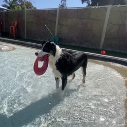 Swim Club Swim Club