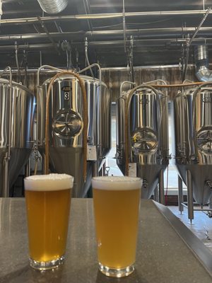 Wichita Falls Brewing Company by null