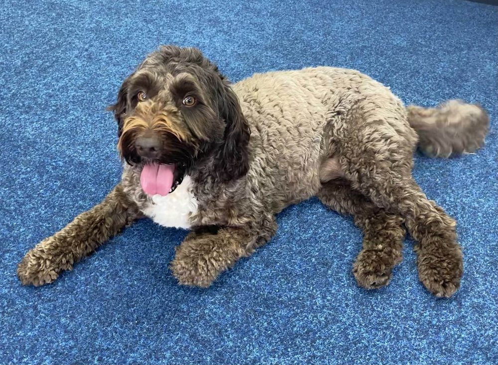 SUPERFAST IT Updated July 2024 Suite 2 Winwood Court Norton Road