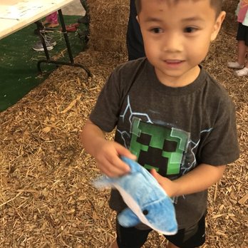 Tom’s Adventures - He loved his prize dolphin!! - Christmas Trees Near Me - San Diego, California Tom’s Adventures - He loved his prize dolphin!! - Christmas Trees Near Me - San Diego, California