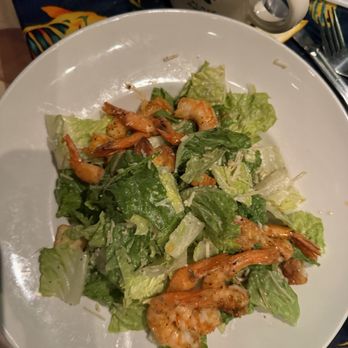 Rainforest Cafe - American Near Me - Sunrise, Florida Rainforest Cafe - American Near Me - Sunrise, Florida