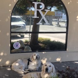 Sherman's Apothecary Pharmacy - Mascots Bentley and Remington hard at work.