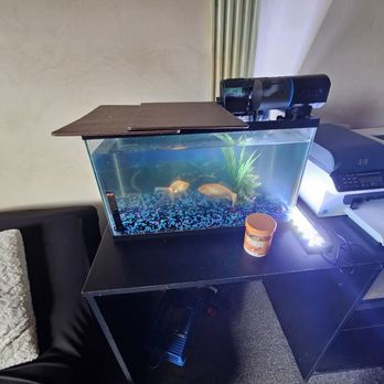 Sky Energy Therapy - 3/17/25 One fish two fish... - Massage Therapy Near Me - Vienna, Virginia Sky Energy Therapy - 3/17/25 One fish two fish... - Massage Therapy Near Me - Vienna, Virginia