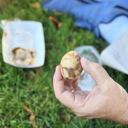 Vancouver Farmer's Market - Tea eggs from a Taiwanese tent