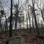 Photo of Billerica State Forest