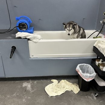 Country Pet Wash - Pet Groomers Near Me - Mountain View, California